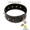 Coleira spikes com cadeado - Image 2