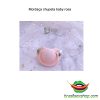 Mordaça chupeta baby rosa