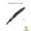 Plug plastico flexivel cauda gris - Image 2