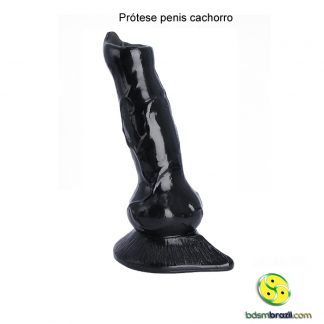 Prótese penis cachorro